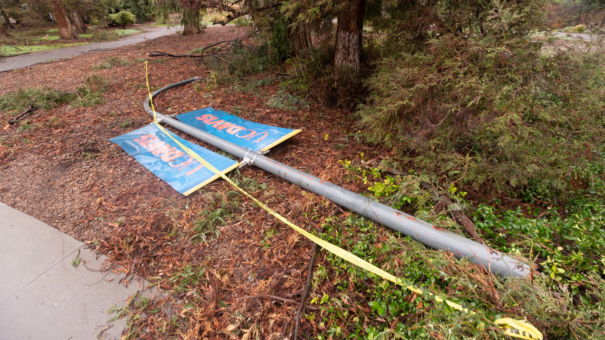 Light pole lies on the ground, with two UC Davis banners attached