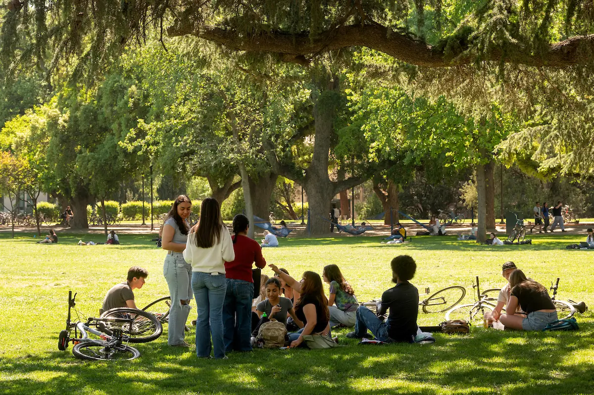Friends gathered on grass under a mossy oak tree, bikes nearby in sunlit park