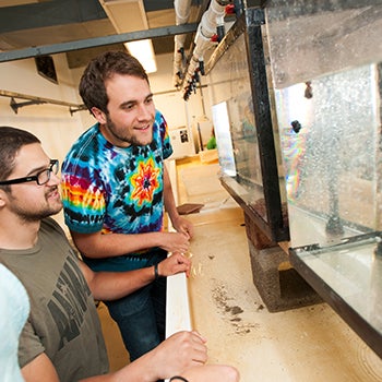 uc davis students examine a large sea star during summer sessions at bodega marine laboratory