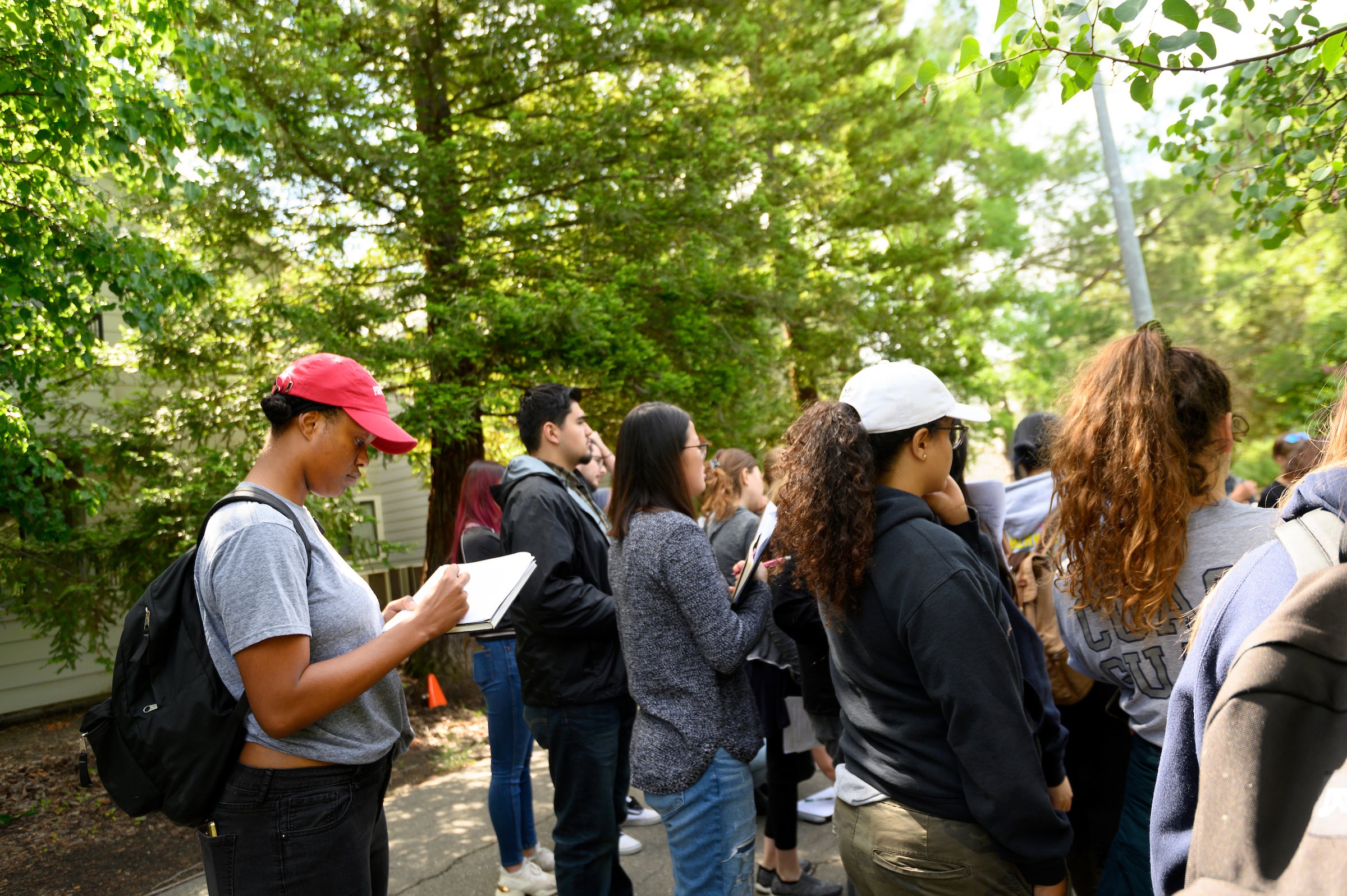 A student writes notes in the woods during class at UC Davis. 