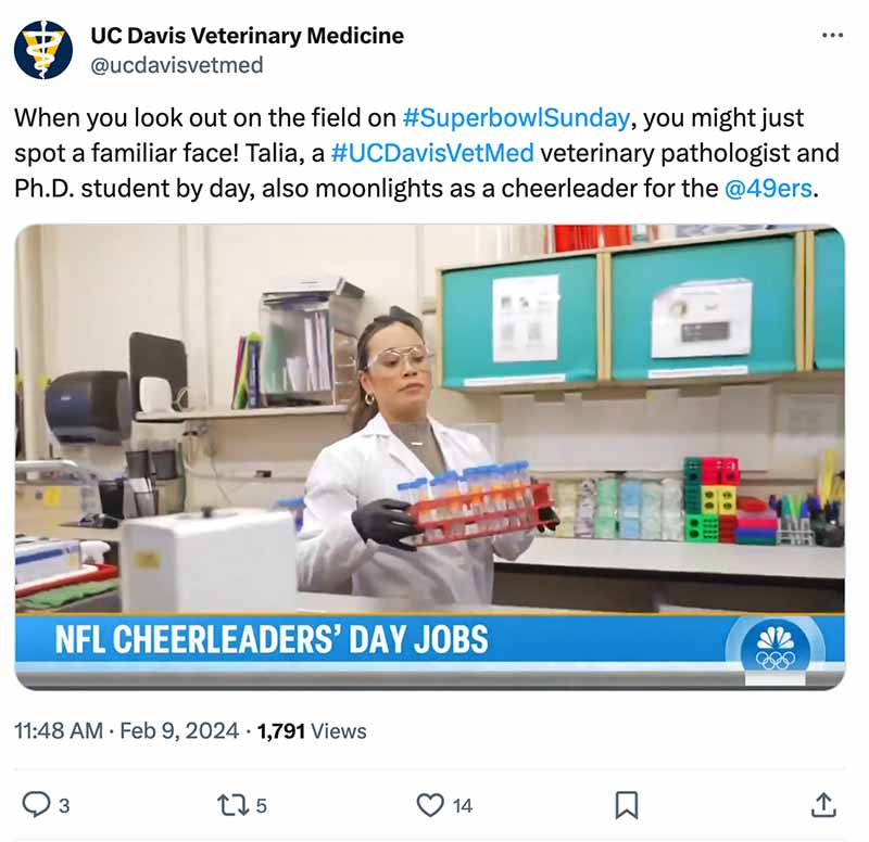 Screenshot of Tweet by UC Davis Veterinary Medicine, handle @ucdavisvetmed, reads: When you look out on the field on #SuperbowlSunday, you might just spot a familiar face! Talia, a #UCDavisVetMed veterinary pathologist and Ph.D. student by day, also moonlights as a cheerleader for the @49ers. Includes still of video showing woman carrying lab equipment with caption: NFL cheerleaders’ day jobs