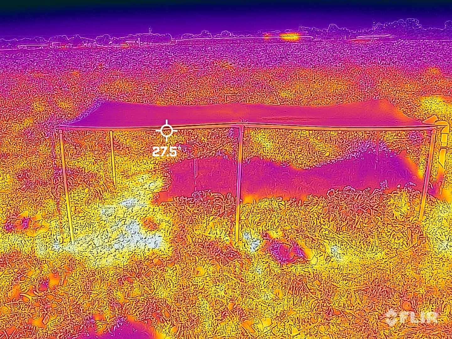 thermal image of crops growing beneath solar panels at UC Davis