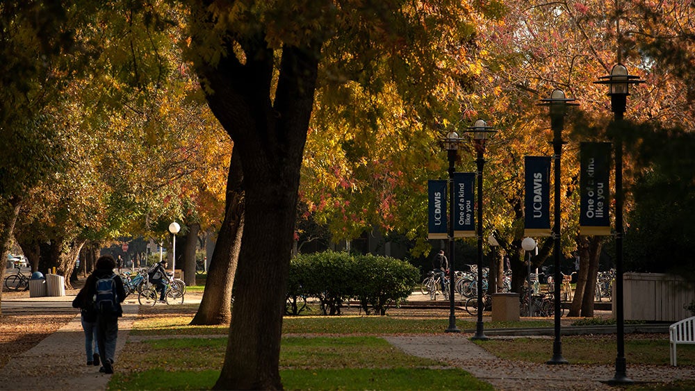 students take a stroll on campus
