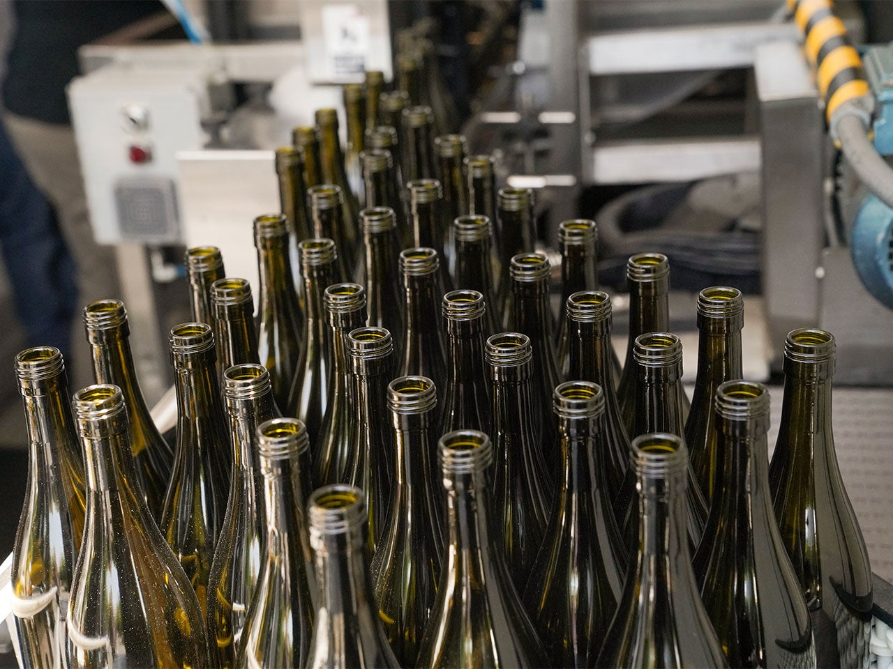 A group of empty olive-green glass wine bottles.