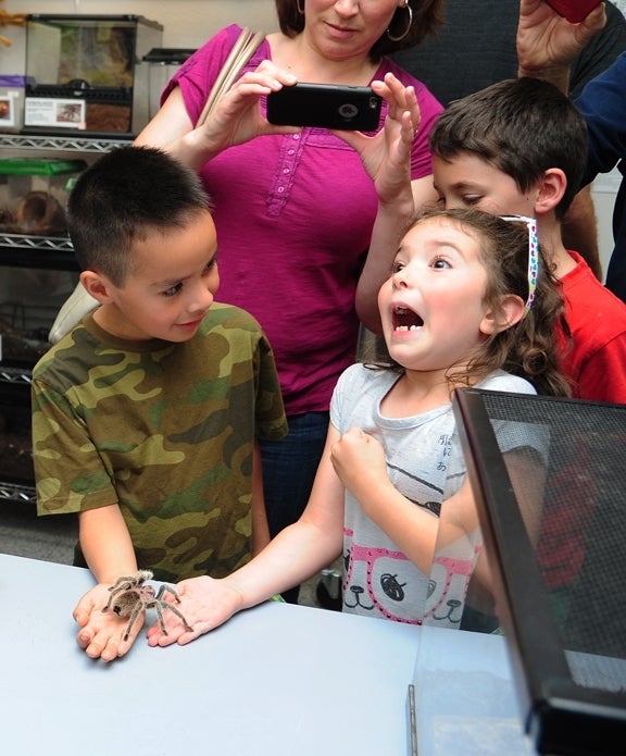  Children interact with tarantula.