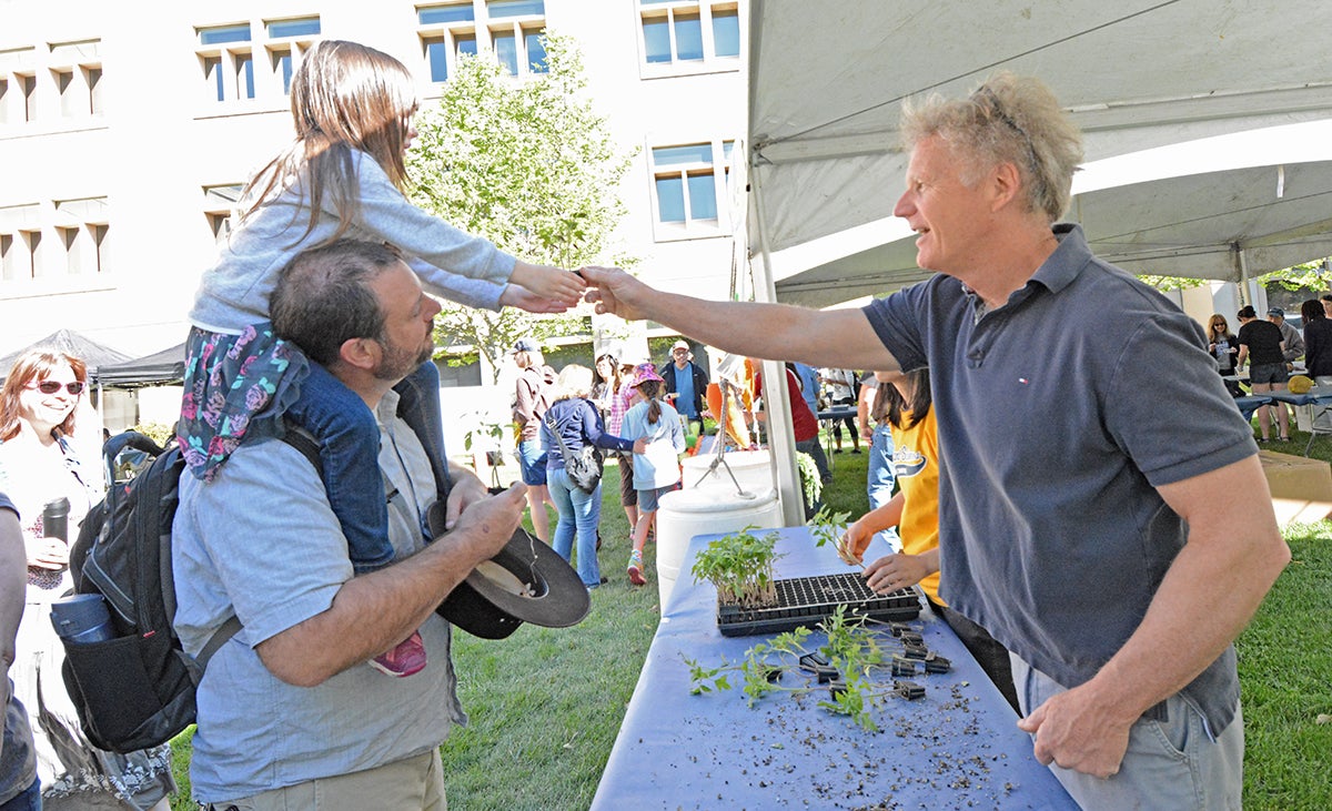 Plant Sciences professor John Yoder, right, hands a Shady Lady tomato seedling to 4-year-old Evie Kraushaar, on her father James' shoulders. (Cody Kitaura/UC Davis)