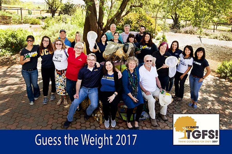 Guess the Weight photo of Miss Honey Bee sculpture and a group of people