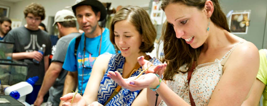 Men and women handle insects at the entomology museum during Picnic Day