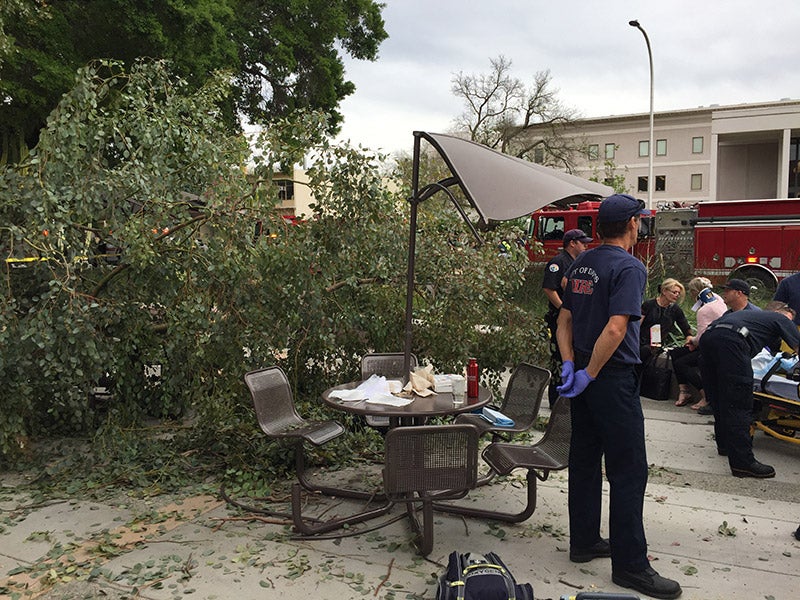 Crews tend to injured victims after a tree branch fell Wednesday.
