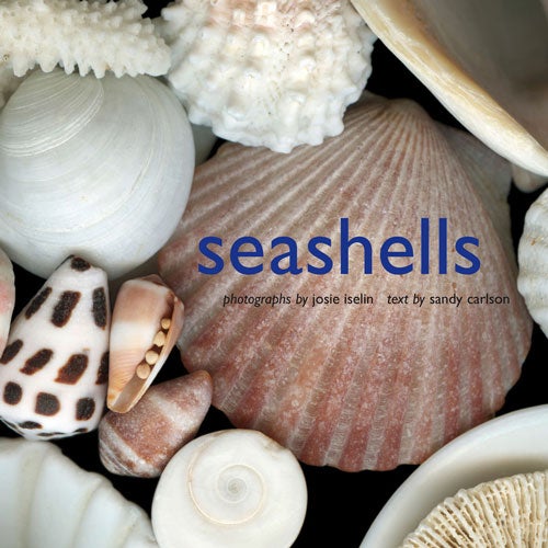 "Seashells" book cover