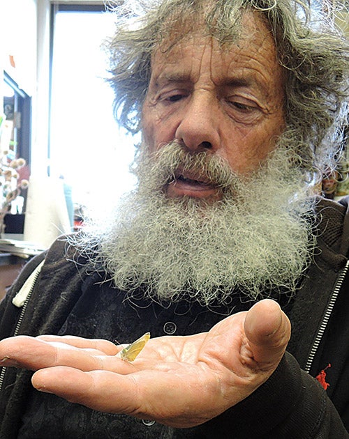 Art Shapiro holds the first cabbage white butterfly of 2017.