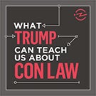  What Trump Can Teach Us About Con Law