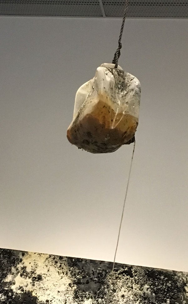 Plastic container of iron, hanging over "Glass Mountain"
