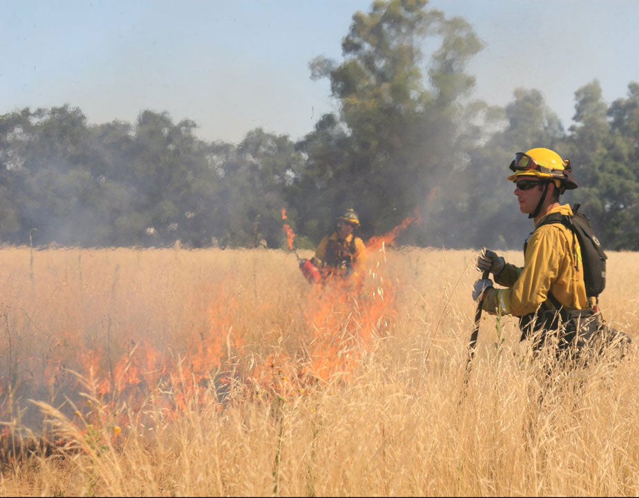 Flames in field, with firefighters standing by in training exercise.