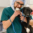 Man in scrubs with dog.