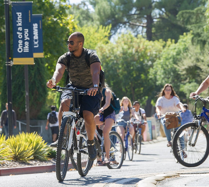 Students bicycling