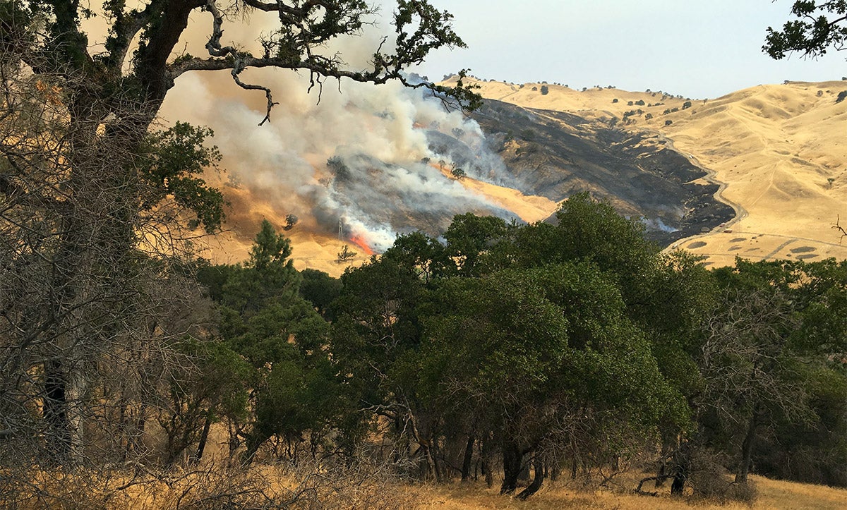 The County Fire as seen from the Cahill Riparian Reserve.