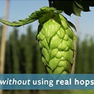 Without using real hops