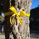 A yellow ribbon tied around a tree.