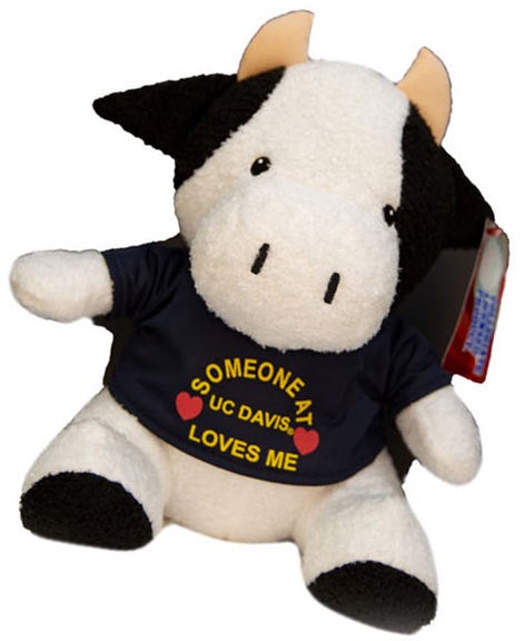 Plush Cuddle Cow stuffed animal wearing shirt that reads, "Someone at UC Davis Loves Me."