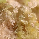 Close up of Navrotskyite mineral