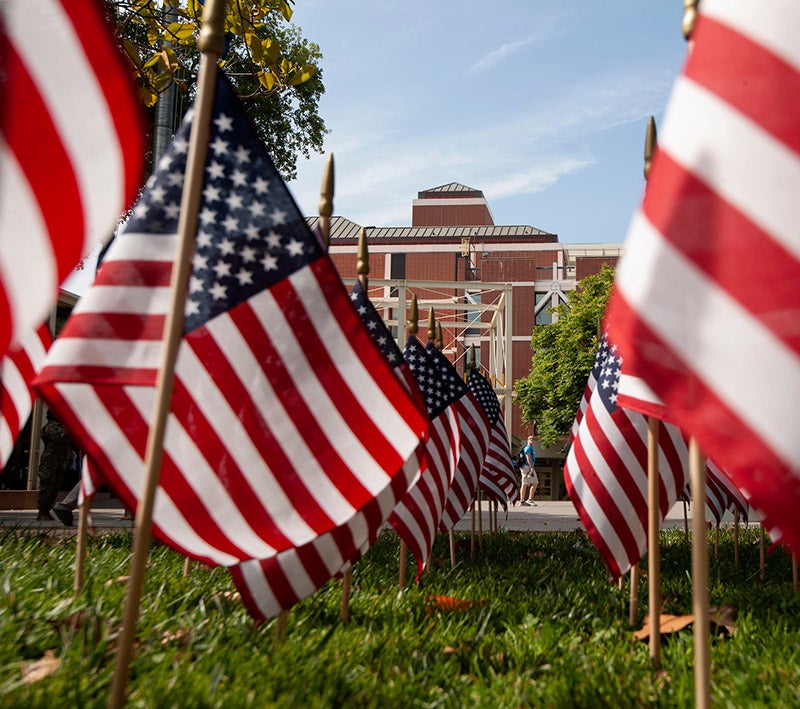Flags on the lawn in front of the Memorial Union.