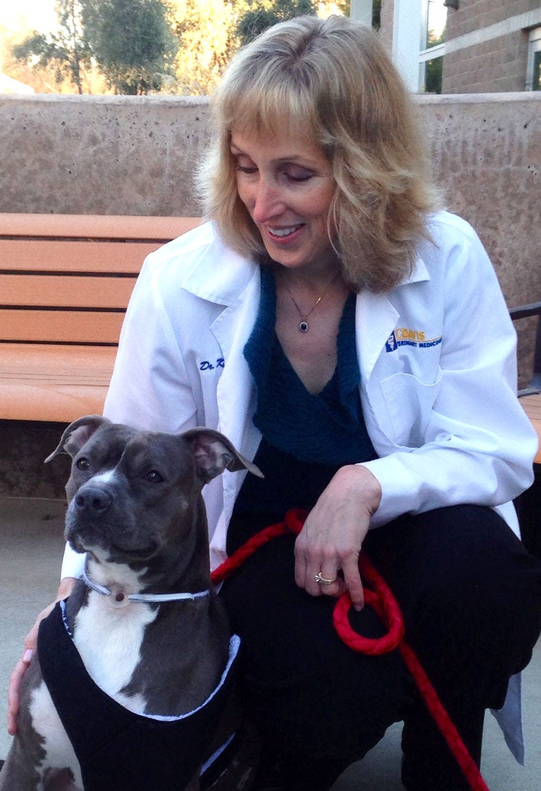 Veterinarian in lab coat, pictured with dog