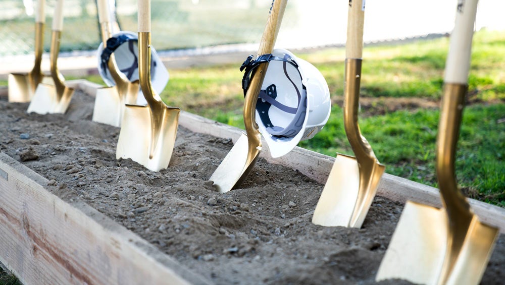 Gold shovels, standing in dirt