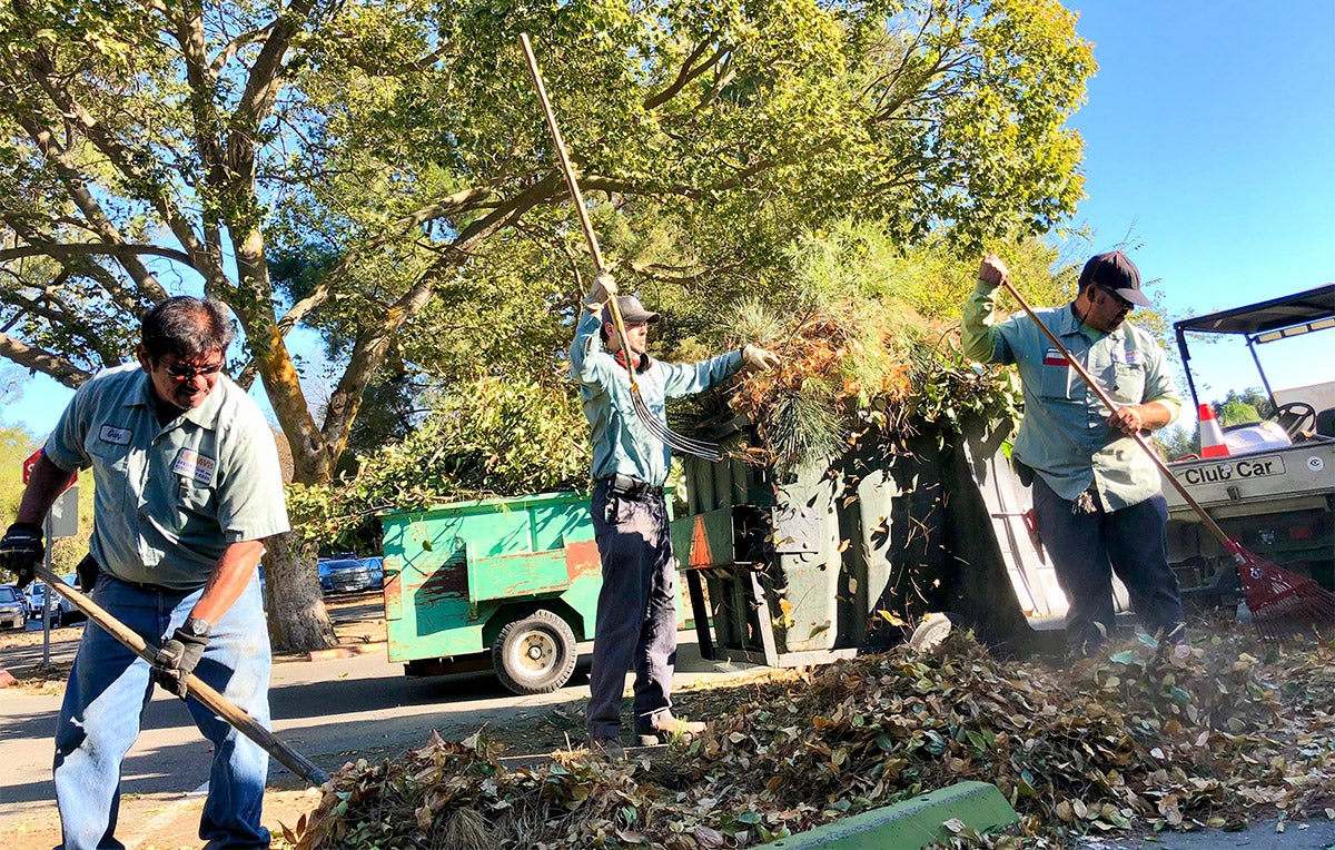 Grounds crew members rake leaves and other debris.