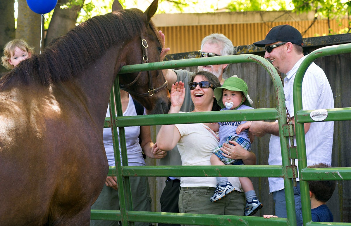 A family looks at a horse