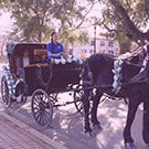 A horse-drawn carriage.