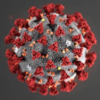 Novel Coronavirus molecular structure