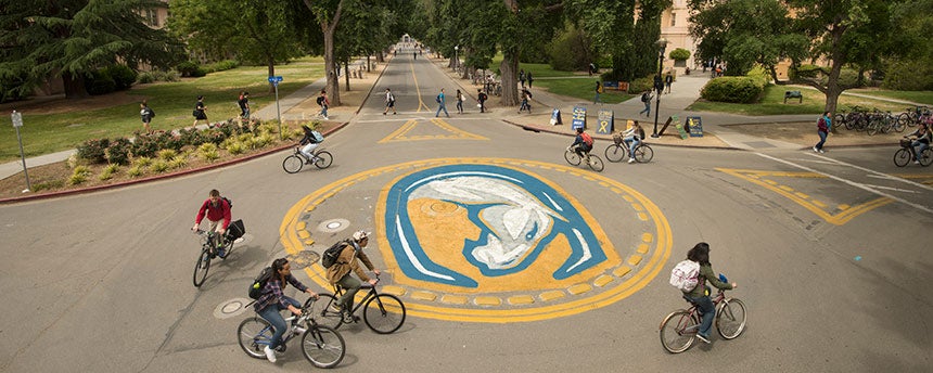 View of a UC Davis traffic circle with bicyclists and trees