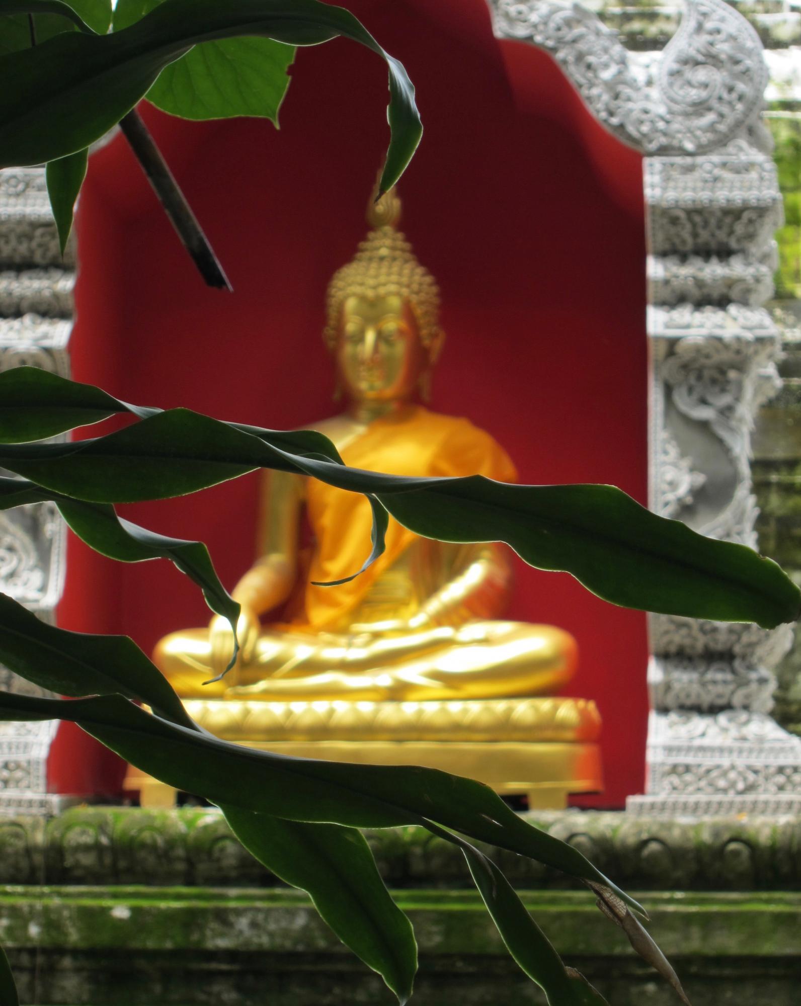 Buddha in temple