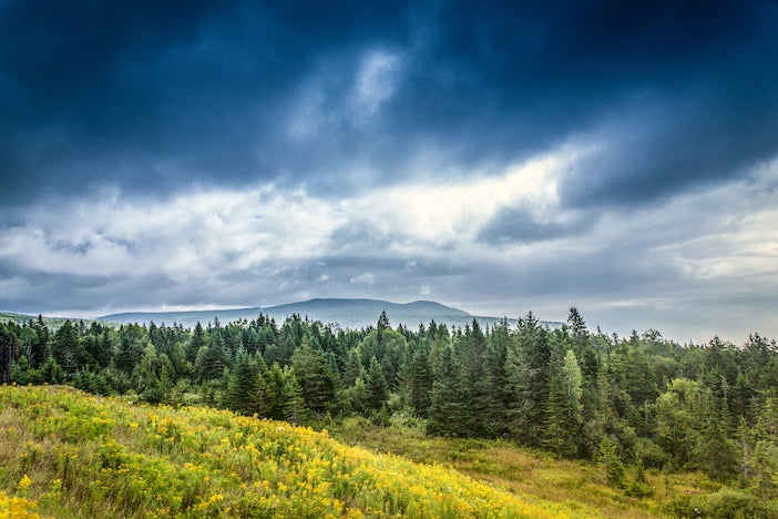 Hutan boreal, Kanada