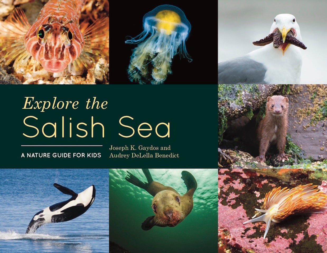 Salish Sea book