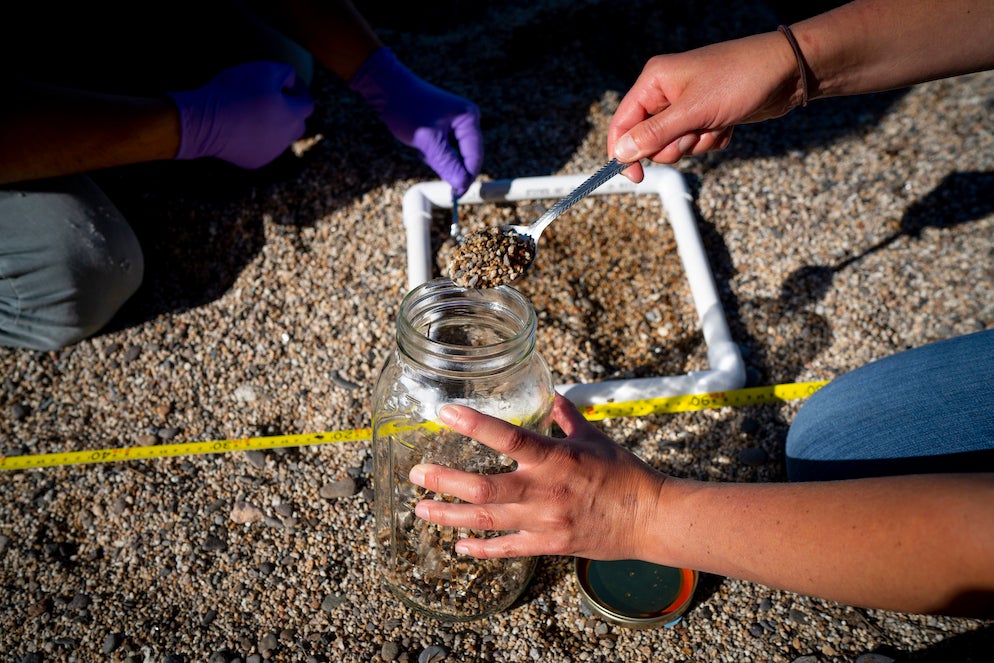 Sampling sand for microplastics at Lake Tahoe
