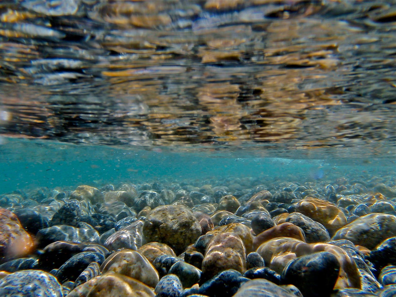 Underwater shot of rocks in Lake Tahoe