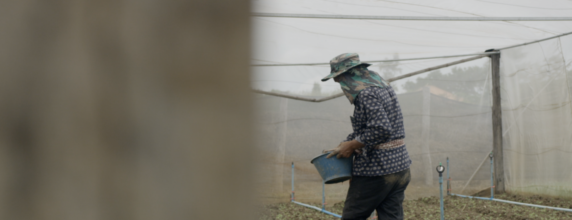 cambodian farmers work 