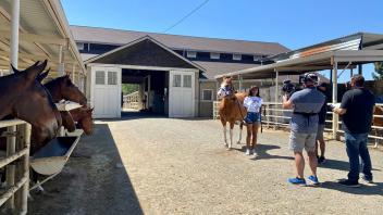 Gabby leads a horse at the campus horse barn. 