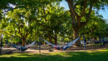 students laying in hammocks in quad
