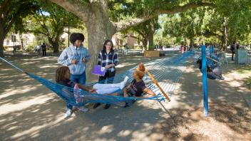 Students talking and lounging in one of the many hammocks that line the UC Davis quad