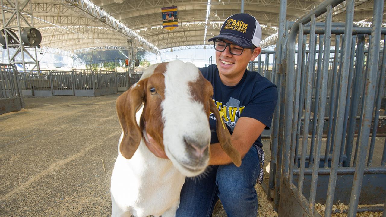 Animal science major Jackson Sawyer with a goat at the State Fair