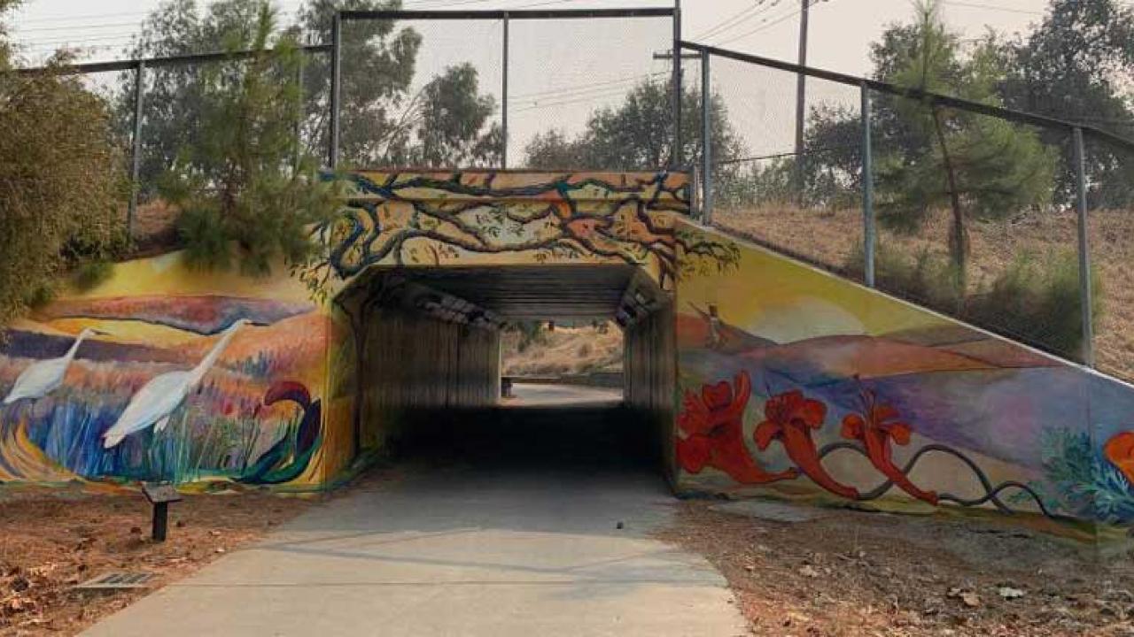 bike tunnel art