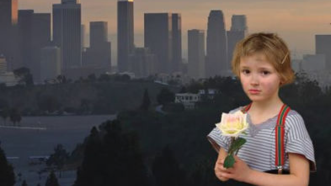 Book cover, cropped, showing little girl holding a flower, with polluted cityscape in background.
