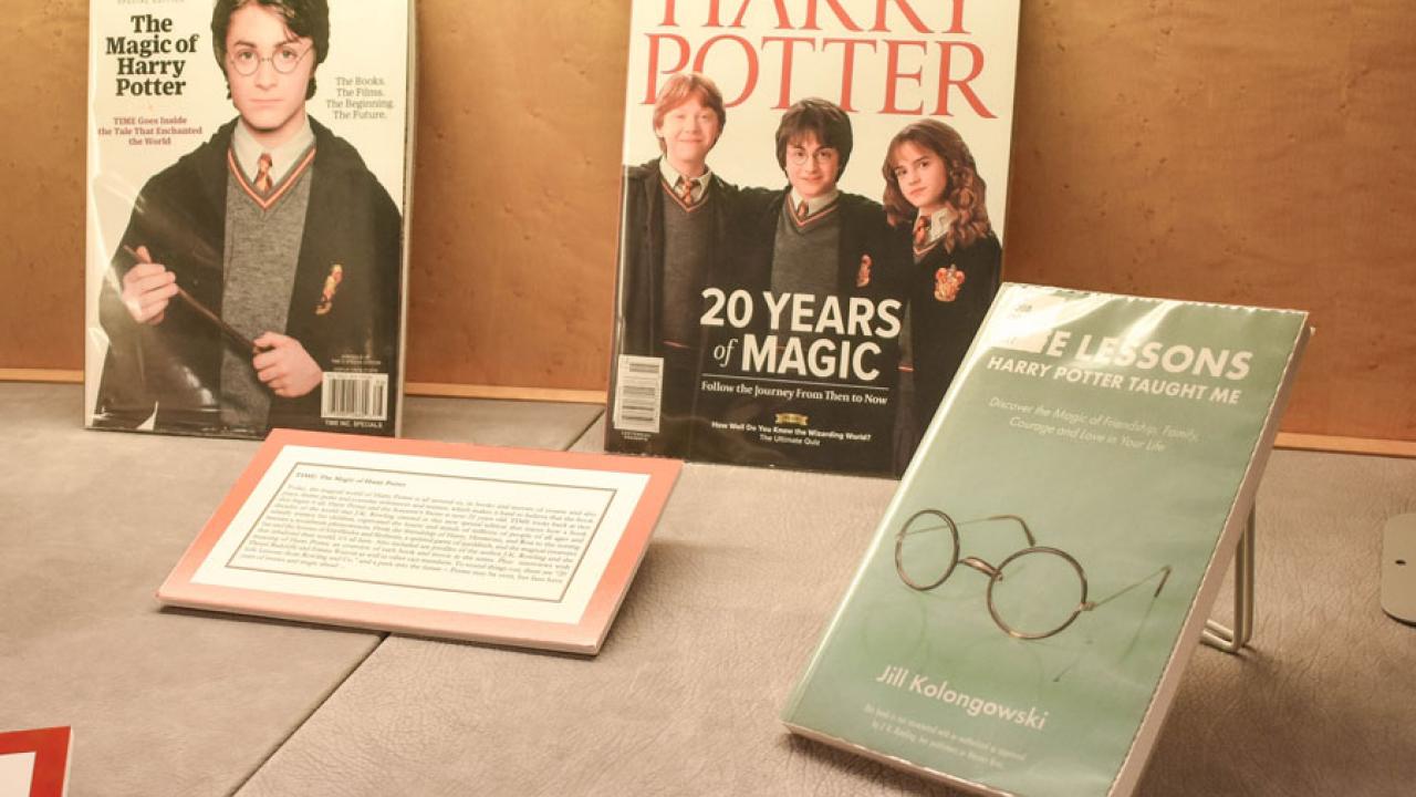 Harry Potter Display