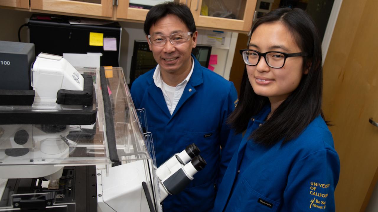Since her freshman year, Joleen Cheah, right, worked in the lab of Associate Professor Soichiro Yamada, left.