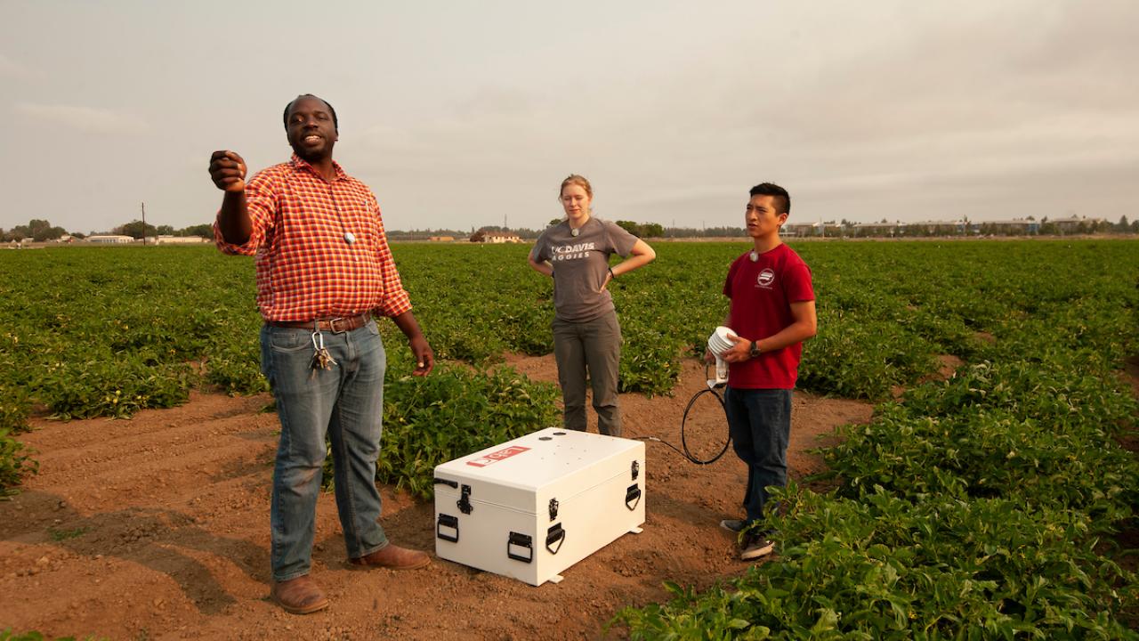 A professor and three students stand in a green field around a white box on the ground. 