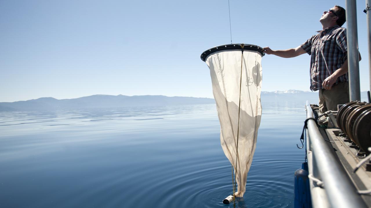 Man drops net into Lake Tahoe from research vessel