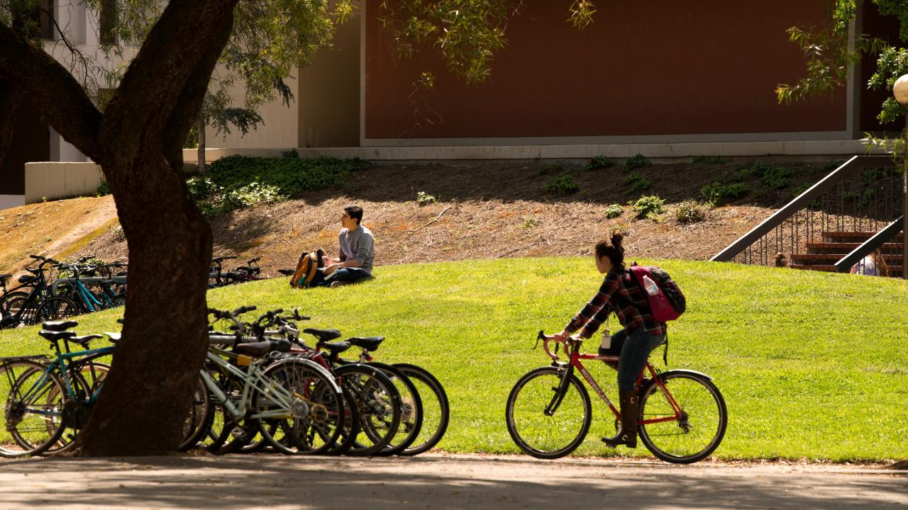 students studying and on bikes